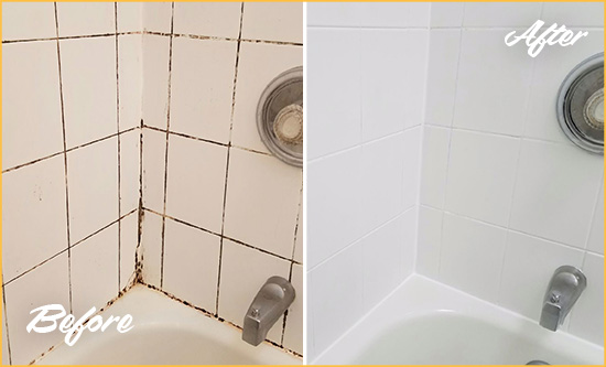 Before and After Picture of a Colmar Shower Tile and Grout Cleaned to Eliminate Mold
