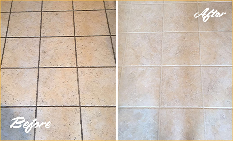 https://www.sirgroutbuckspa.com/images/148/tile-grout-cleaning-sealing-soiled-floor-480.jpg