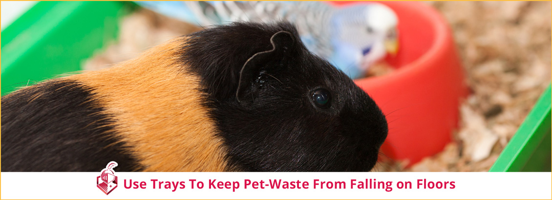Use Trays to Keep Pet-Waste from Falling on Floors