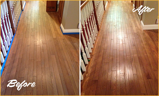 Before and After Picture of a Green Lane Wood Sand Free Refinishing Service on a Worn Out Floor