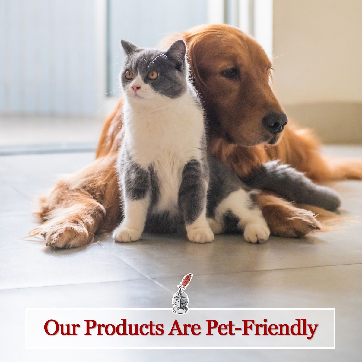 Our Products Are Pet-Friendly