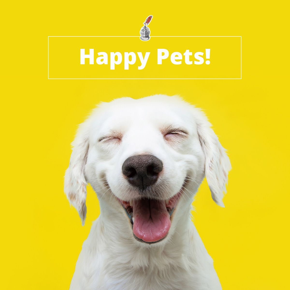 Happy Pets!